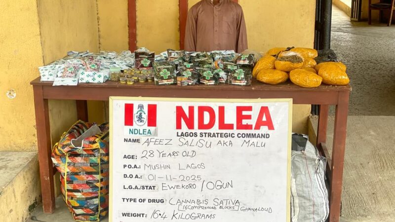 NDLEA Uncovers Fake Medicinal Cannabis Syndicate in Lagos, Warns Nigerians Against Deadly Psychoactive Products
