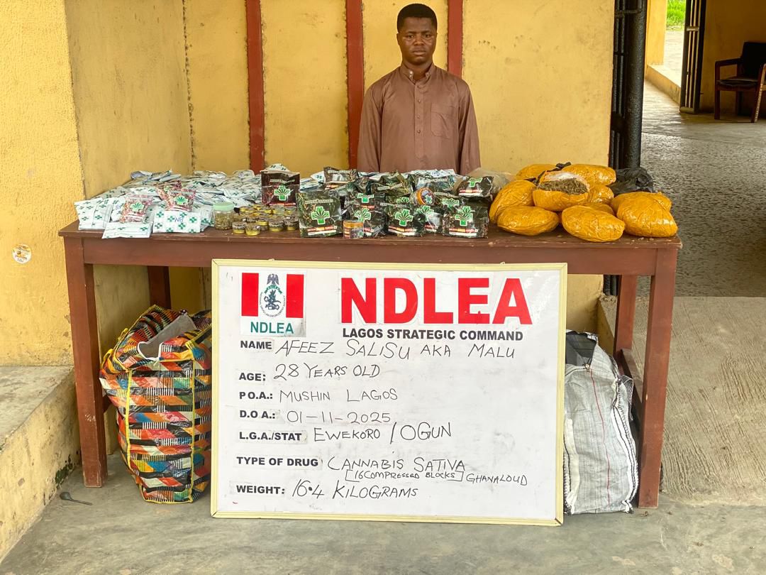 NDLEA Uncovers Fake Medicinal Cannabis Syndicate in Lagos, Warns Nigerians Against Deadly Psychoactive Products