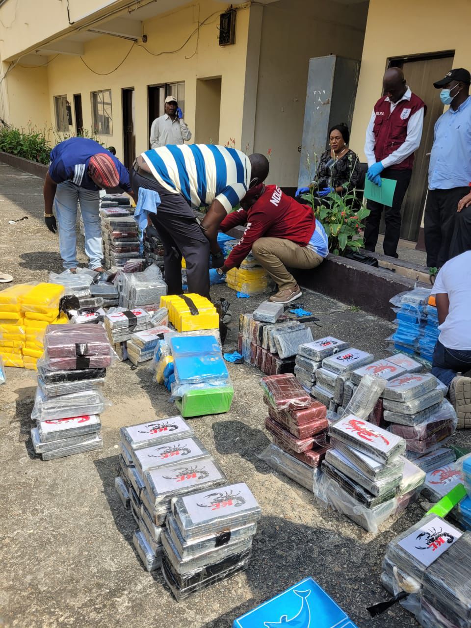 NDLEA Partners US-DEA, UK-NCA to Track Global Cartel Behind Record 1,000kg Cocaine Seizure at Lagos Port 1 NDLEA Partners US-DEA, UK-NCA to Track Global Cartel Behind Record 1,000kg Cocaine Seizure at Lagos Port