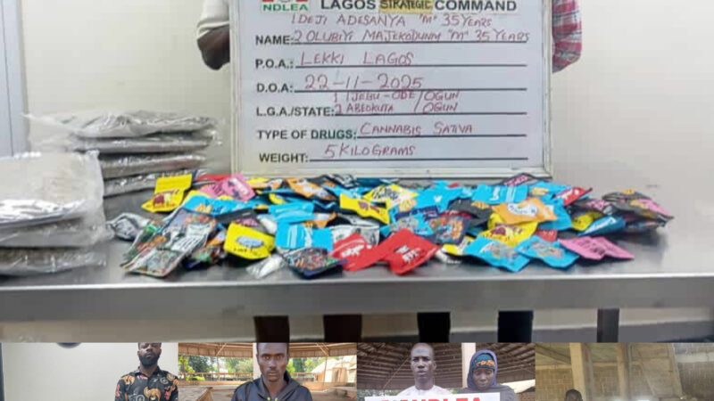 NDLEA Busts Drug Syndicate Packaging Illicit Substances as Christmas Cookies