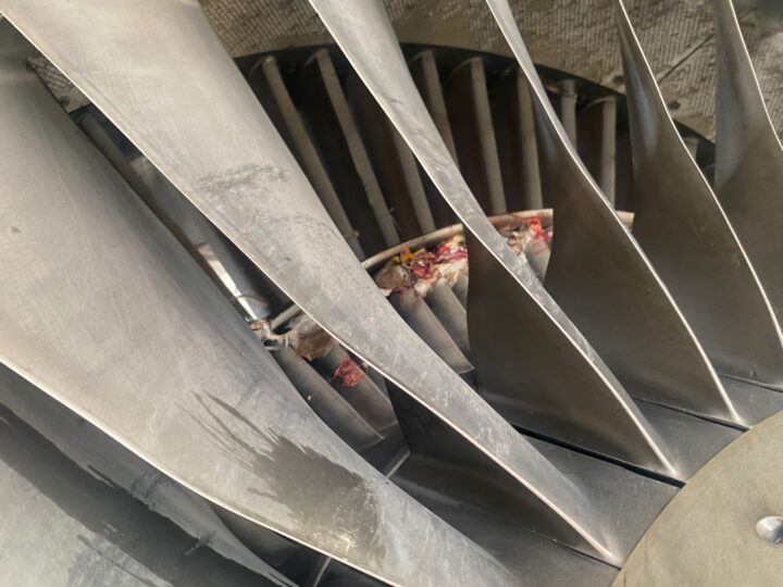 Fresh Bird Strike Grounds Second Aircraft in 24 Hours, Disrupting United Nigeria Airlines Flights