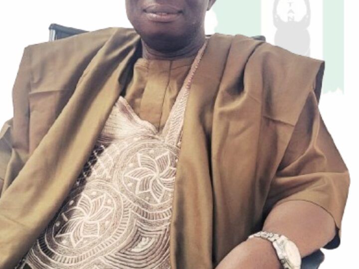 FTAN Urges SON to Suspend Tourism Standards Committees, Warns of International Repercussions