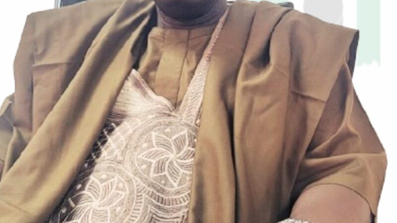 FTAN Urges SON to Suspend Tourism Standards Committees, Warns of International Repercussions