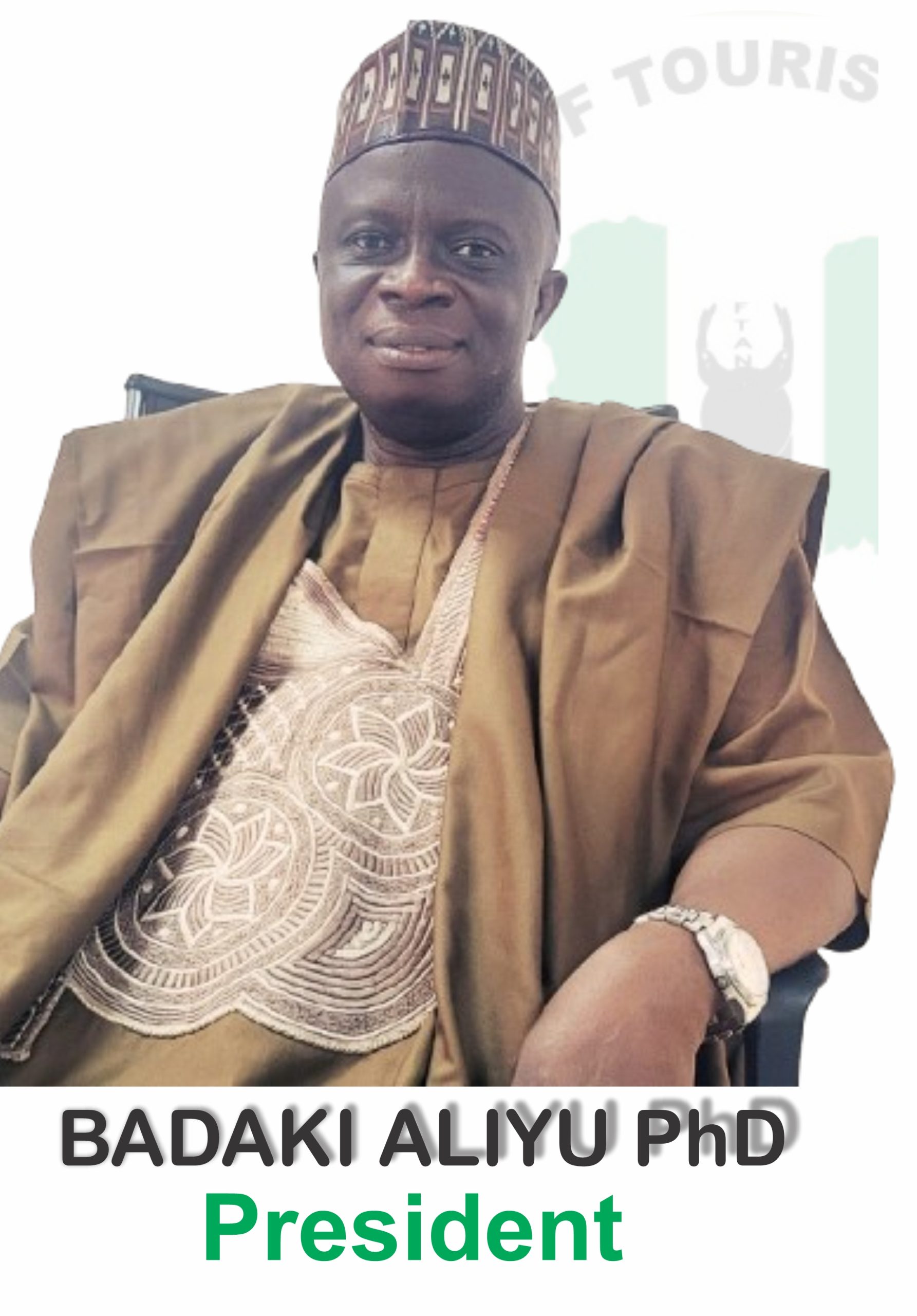 FTAN Urges SON to Suspend Tourism Standards Committees, Warns of International Repercussions