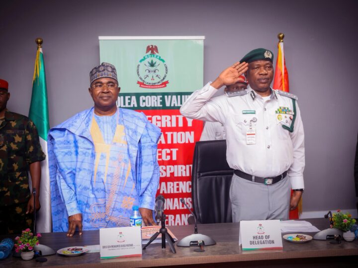 Customs, NDLEA Set Up Joint Committee to Deepen Anti-Drug Crackdown, Strengthen Accountability