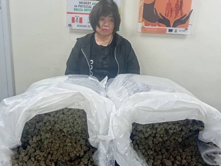 NDLEA Busts International Drug Network, Arrests Chinese Woman With 31kg Cannabis at Lagos Airport