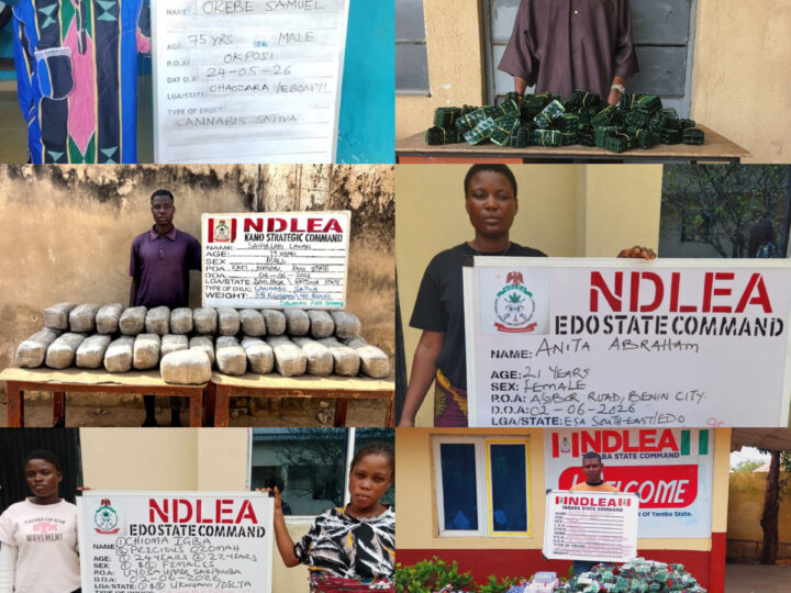NDLEA Intercepts Massive Opioid Haul in Taraba, Arrests 75-Year-Old Suspect in Ebonyi