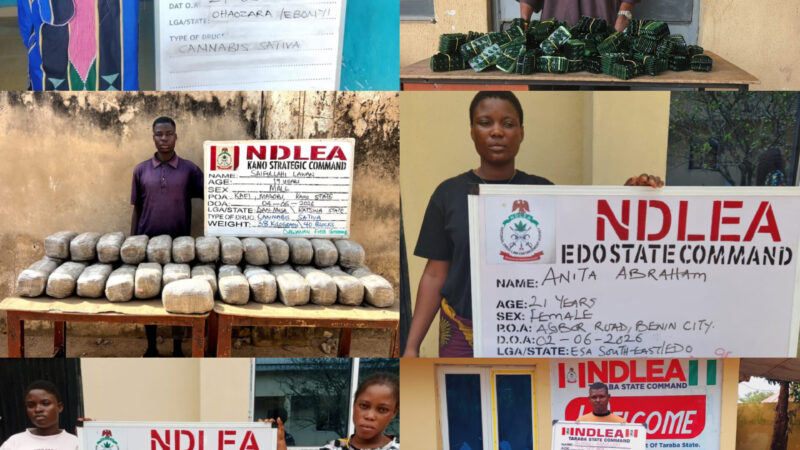 NDLEA Intercepts Massive Opioid Haul in Taraba, Arrests 75-Year-Old Suspect in Ebonyi