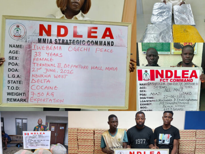 NDLEA Seizes N12.3bn Cannabis Haul, Arrests Businesswoman with Cocaine Bound for China