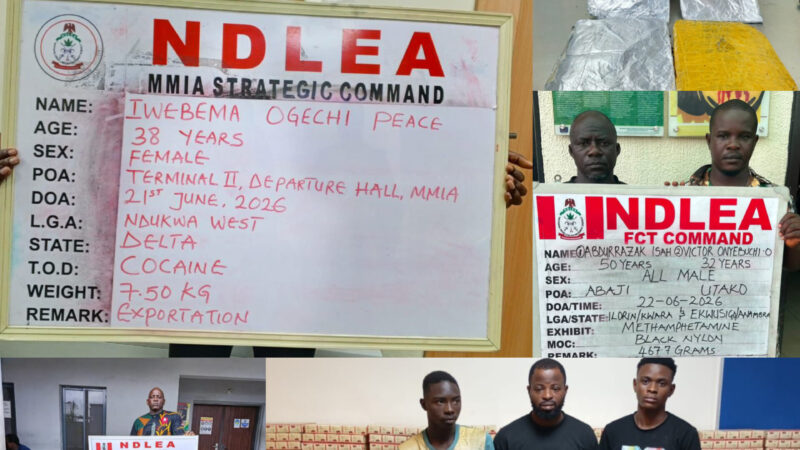 NDLEA Seizes N12.3bn Cannabis Haul, Arrests Businesswoman with Cocaine Bound for China