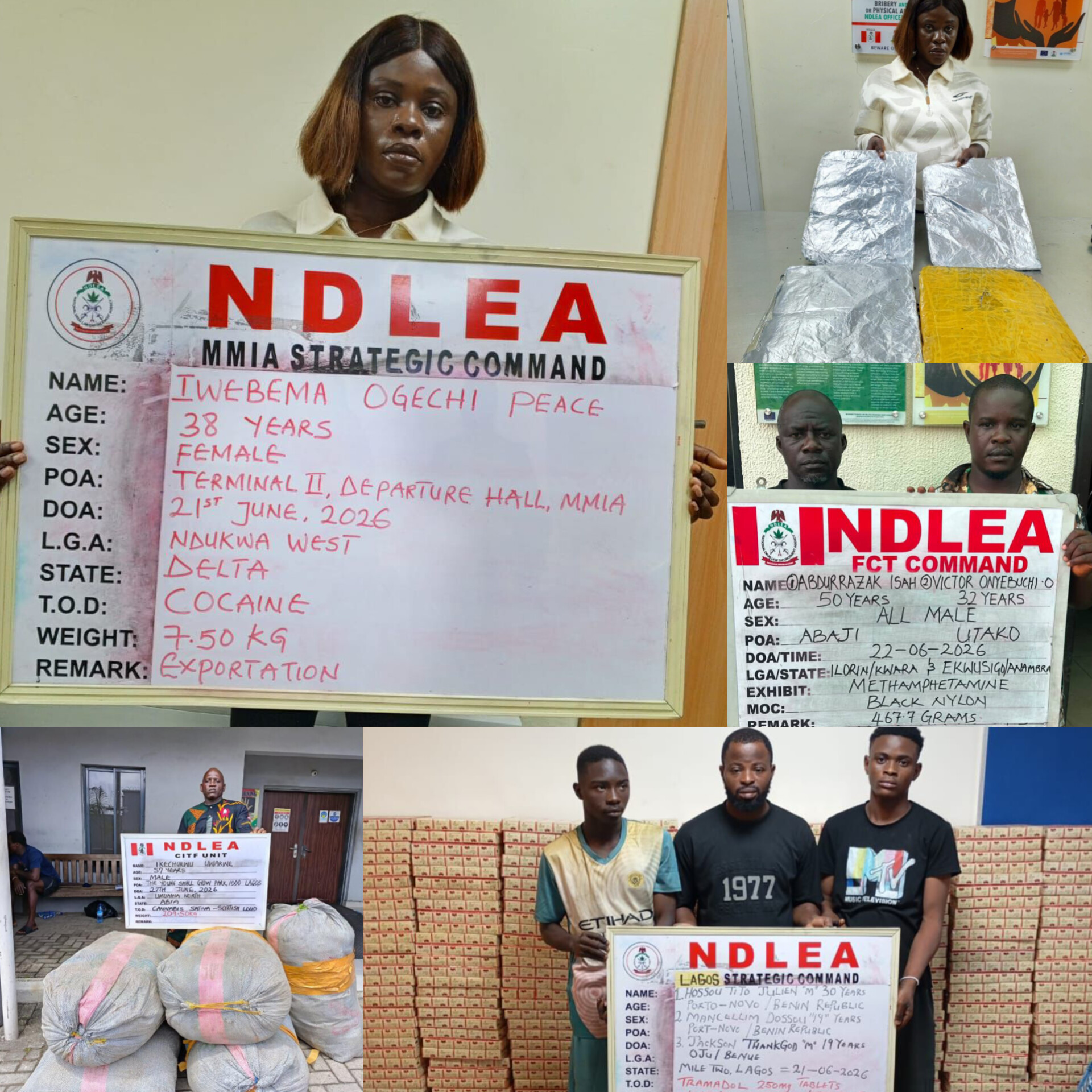 NDLEA Seizes N12.3bn Cannabis Haul, Arrests Businesswoman with Cocaine Bound for China