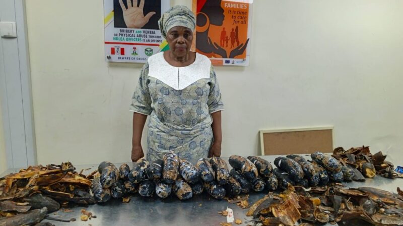NDLEA Arrests Nigerian-British Grandmother Over 13kg Cocaine Hidden in Plantain Peels, Busts International Drug Syndicate
