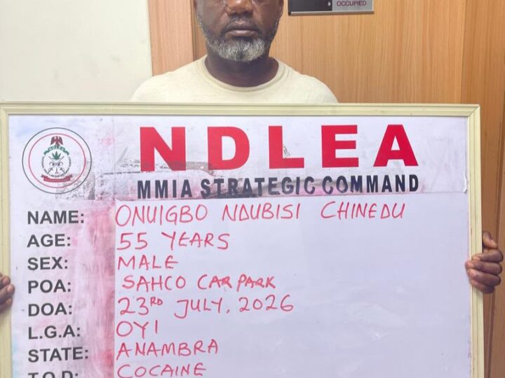 NDLEA intercepts N10bn cocaine, cannabis, opioids at Lagos ports, arrests alleged drug kingpins