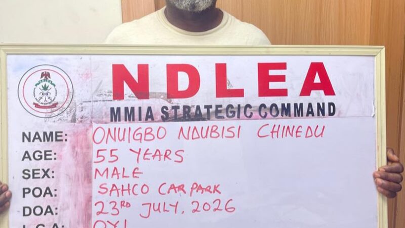 NDLEA intercepts N10bn cocaine, cannabis, opioids at Lagos ports, arrests alleged drug kingpins