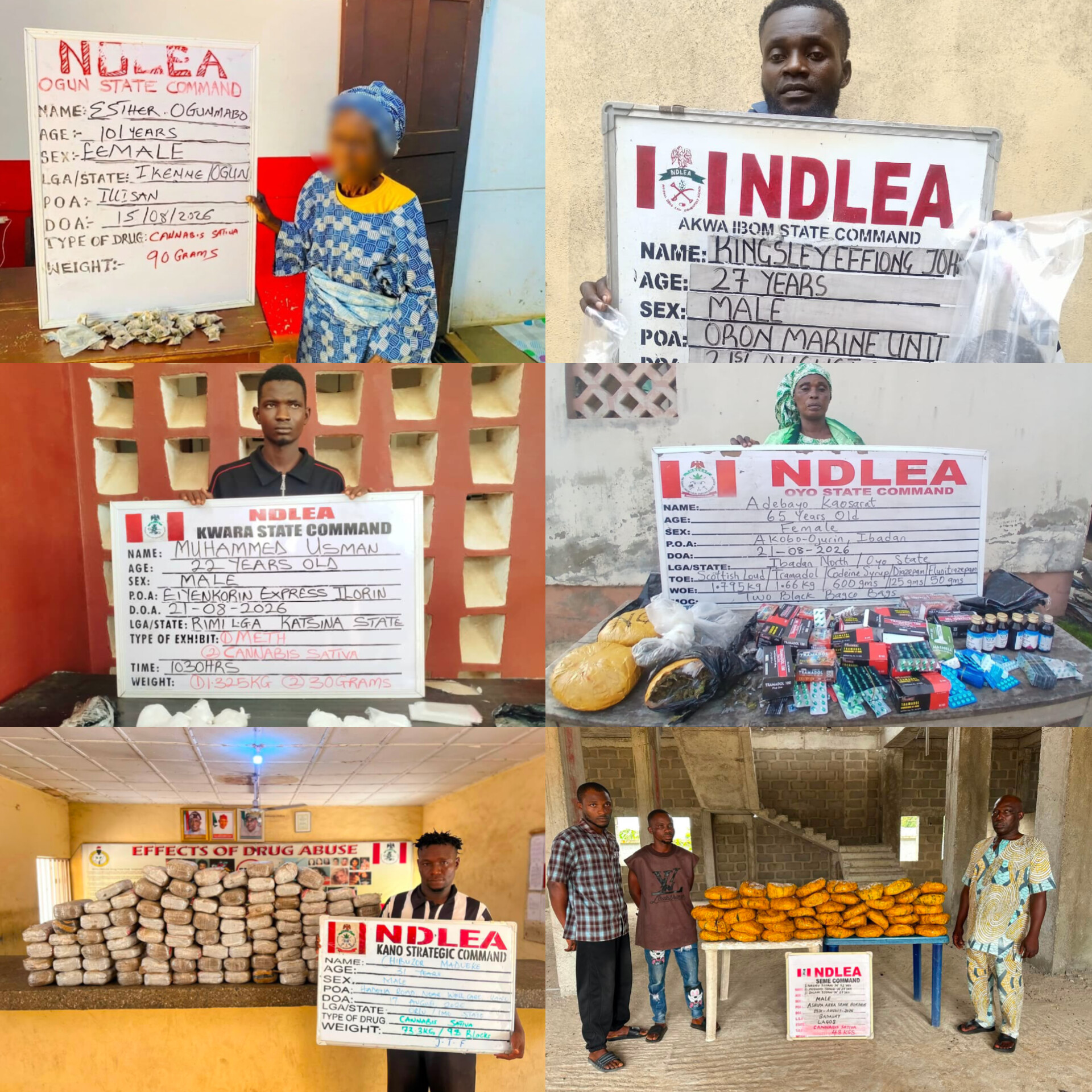 NDLEA Arrests 101-Year-Old Woman, Seizes N4.4bn Worth of ‘Loud’ at Lagos Ports