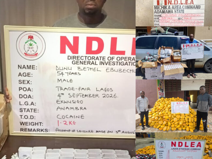 NDLEA arrests convicted cocaine trafficker posing as herbal tea merchant