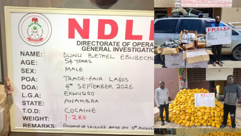 NDLEA arrests convicted cocaine trafficker posing as herbal tea merchant
