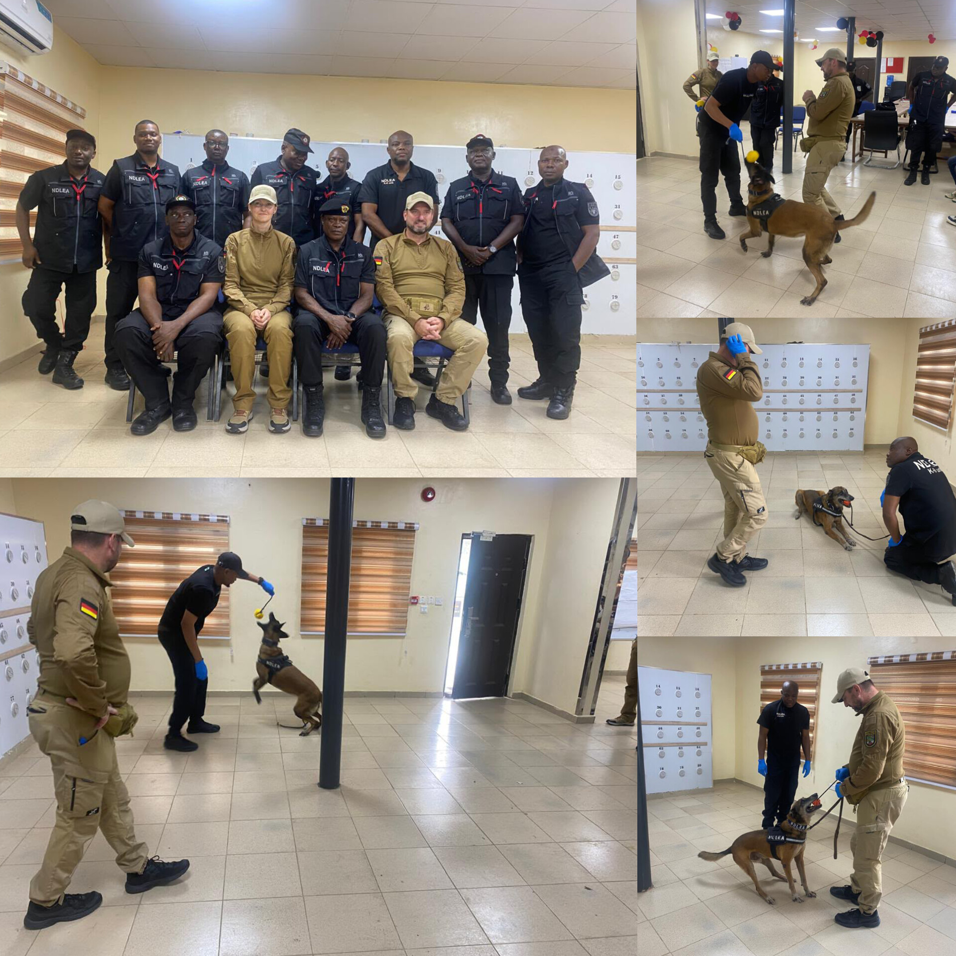 NDLEA Canine Handlers Get Specialised Training From German Experts