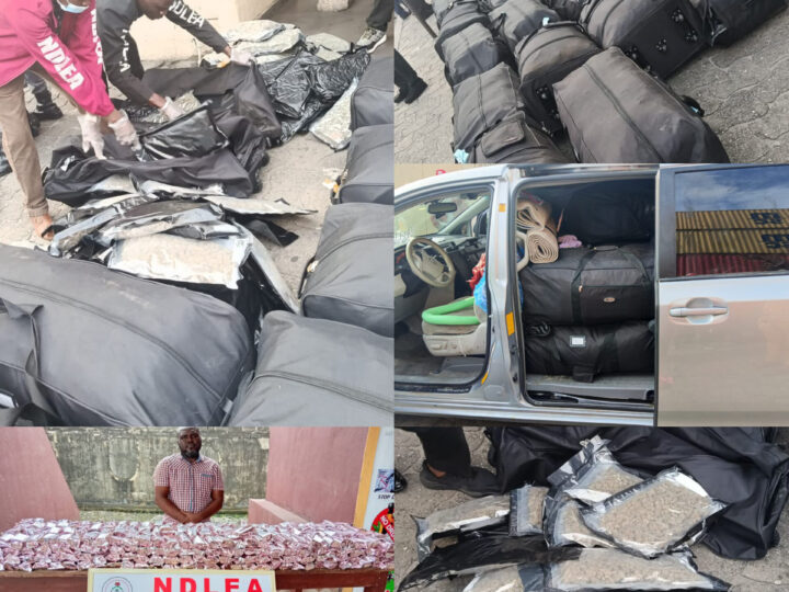 NDLEA Seizes N3.4bn Drugs, Arrests Fake Police Officer, Mechanic-Dealer