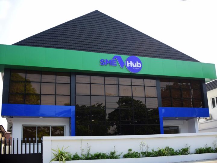 Nigeria’s SMEs: Resilient, Essential and in need of the Right Partners