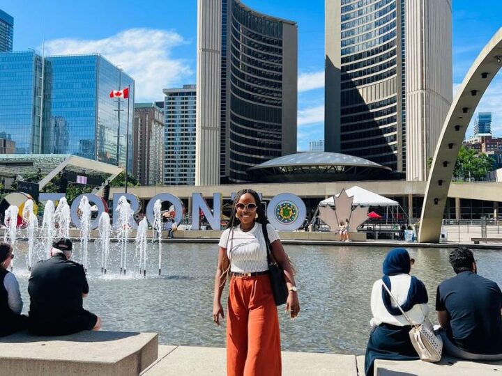 How Nigerians Abroad Can Grow Wealth at Home