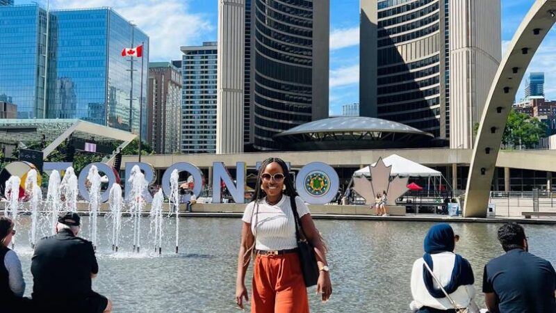 How Nigerians Abroad Can Grow Wealth at Home