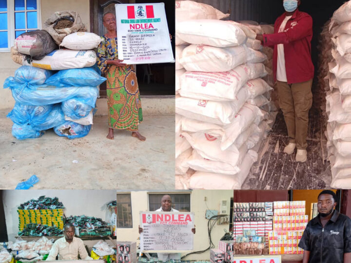 NDLEA Seizes ₦6.98bn Tramadol at Lagos Port, Arrests 85-Year-Old Woman in Edo