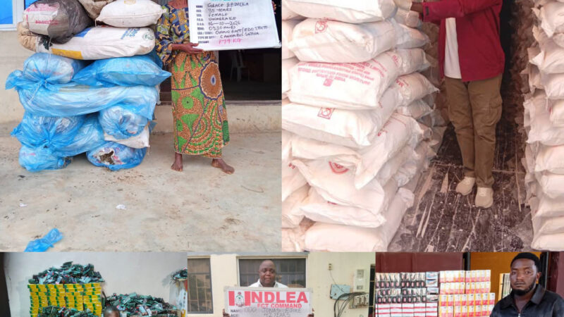 NDLEA Seizes ₦6.98bn Tramadol at Lagos Port, Arrests 85-Year-Old Woman in Edo