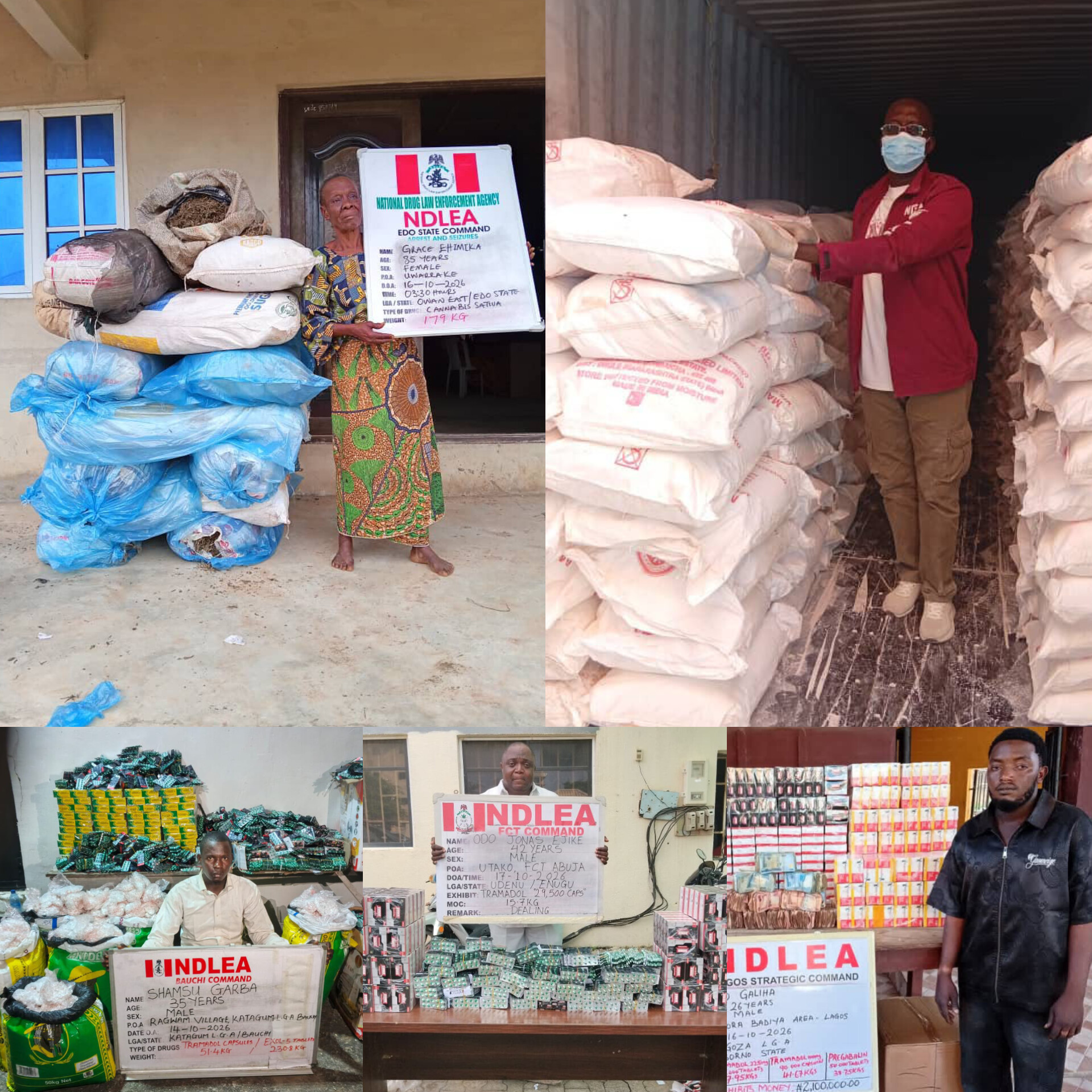 NDLEA Seizes ₦6.98bn Tramadol at Lagos Port, Arrests 85-Year-Old Woman in Edo